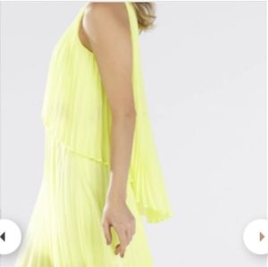 BCBG MAXAZRIA Shaina Pleated Gown